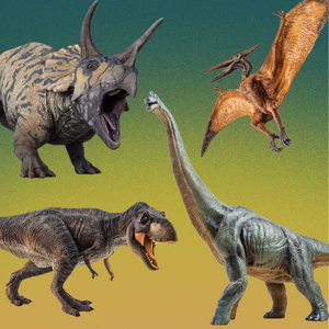 Dinosaur Party